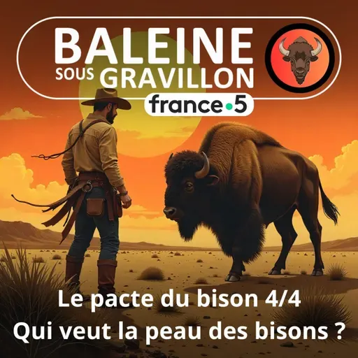 S07E35 Le Pacte du bison 4/4 (France 5) : Qui veut la peau des bisons ?  (Thierry Robert)
