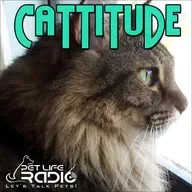 Cattitude - Episode 279 Living in Harmony with Wildlife: Simple Steps You Can Take