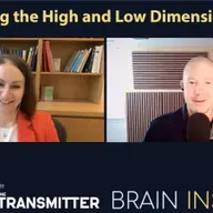BI 226 Tatiana Engel: The High and Low Dimensional Brain
