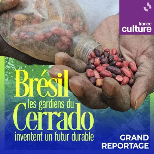 Au Brésil, les gardiens du Cerrado inventent un futur durable 3/5 : La difficile application des droits des quilombos : "Il y en a assez du racisme environnemental"