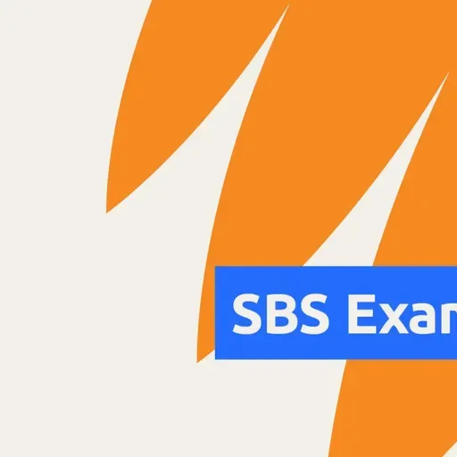'Ambition gap': Why most people believe they'd step in to stop hate - but don't - نیت و عمل متفاوت؛ چرا اکثر مردم میگویند در برابر تبعیض نژادی واکنش نشان میدهند، اما عمل نمیکنند؟