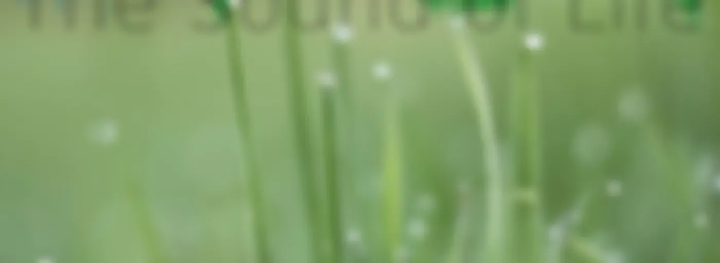 Afghan Radio - Sound of Life