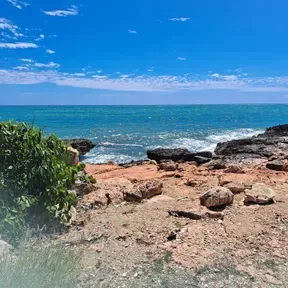 nuevas oportunidades