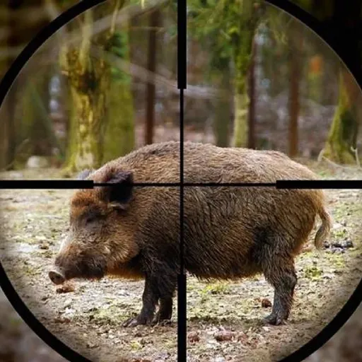 Il Termometro - Puntata 9 - Intervista a Roberto Salustri di Alleanza Antispecista, Invasione di Gaza