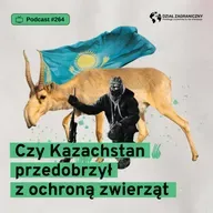 Czy Kazachstan przedobrzył z ochroną zwierząt (Dział Zagraniczny Podcast#264)