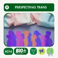 214 - Perspectivas trans