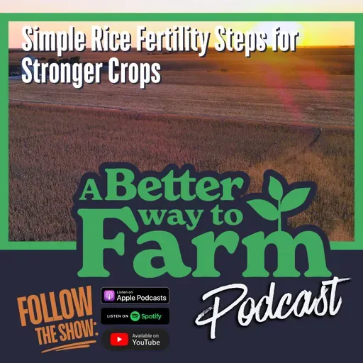 352: Simple Rice Fertility Steps for Stronger Crops