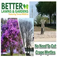 S2 Ep422: Better Lawns and Gardens - Hour 2 No Need To Cut Crape Myrtles January 24, 2026