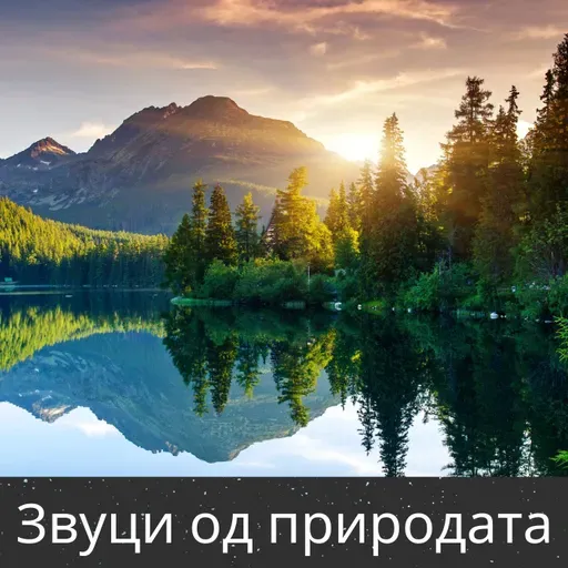 Рапид Ривер - 10 часа за сон, медитација и релаксација