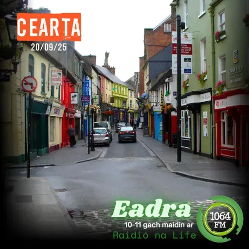 Gaeilge i gCo. an Chláir - Leah Ní Thailtigh