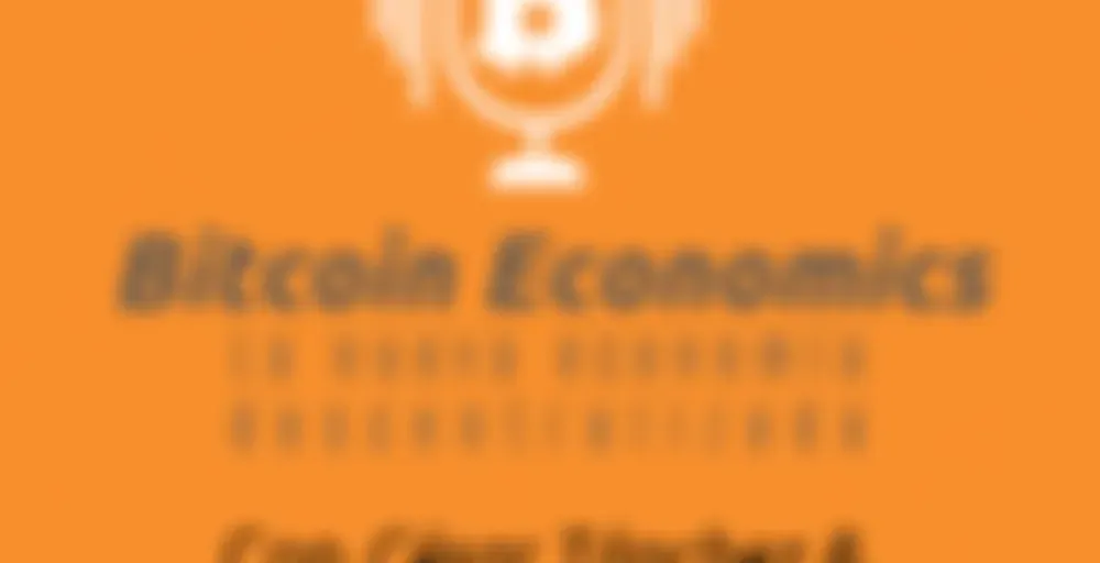 Bitcoin Economics