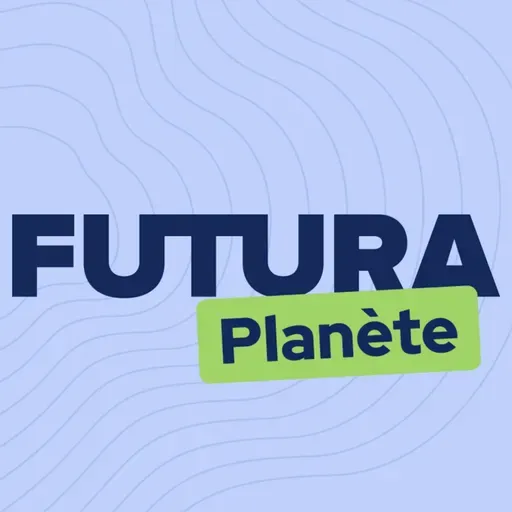 Un hiver très froid en 2025 ?