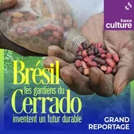 Au Brésil, les gardiens du Cerrado inventent un futur durable 1/5 : Le quilombo Macuco en quête d’autonomie alimentaire : "Nous résistons ici"