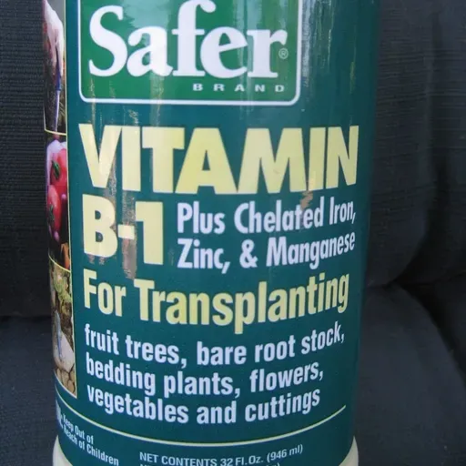 Can Vitamin B1 Help New Garden Transplants?