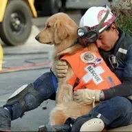 OUR CANINE HEROES (PT 2 OF 2)   A DOG'S JOB IS NEVER DONE