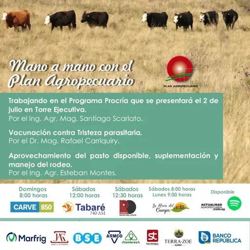 Procría. Vacunación contra tristeza parasitaria. Aprovechamiento de pasto disponible, suplementación y manejo de rodeo.