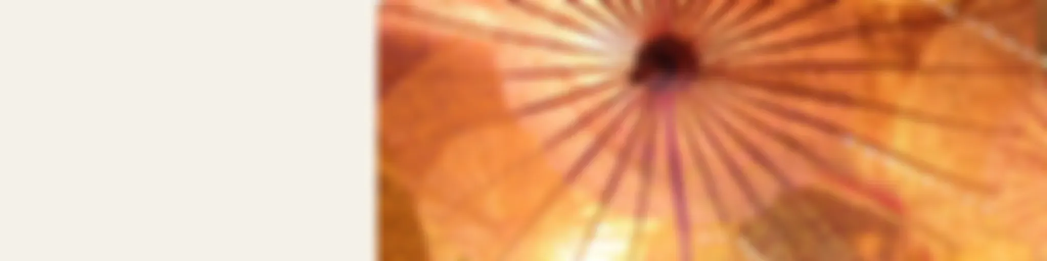 SBS Cantonese - SBS廣東話節目