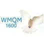 WMQM 1600AM - WMQM