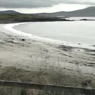 Fresh developments in Kerry Babies case