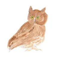 #103-Four more little poems, et al