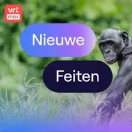 Hebben apen fantasie?