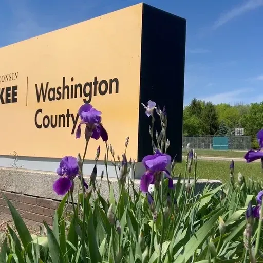 UW branch campuses closing, Forever chemical legislation, Tiny Cabin Life