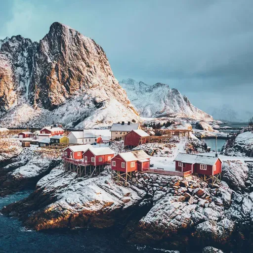 Co-ordiNations vs the Network State: Greenland and the Schism in Global Vision -  with Dr Andrea Leiter