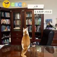 【三年回访】上海｜自由撰稿人的生活