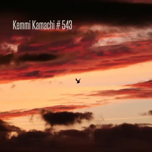 Kemmi Kamachi # 543