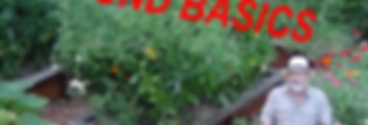 Beyond the Garden Basics Podcast