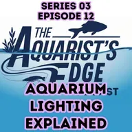 Aquarium Lighting Explained: PAR, Spectrum, Algae & How to Choose the Right Fish Tank Light