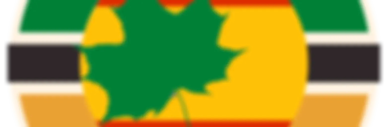 Geneseo en Español