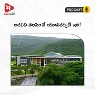 అడవిని తలపించే యూనివర్సిటీ ఇది!