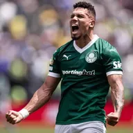 Coluna Palmeiras #212 O sentimento e a razão