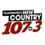 New Country 107.3 - CJDL-FM