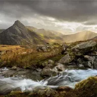 Laws of Nature, Laws with Nature:  Nature on Board with Alexandra Pimor of the Earth Law Center