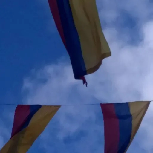 Soltar para avanzar, retos al migrar