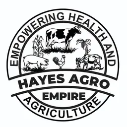 Hayes Radio