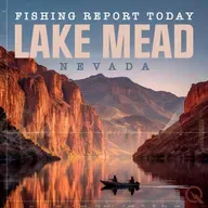 Lake Mead Fishing Report: Stripers Hitting Hard, Smallies Stirring and Crappie Schooling Up