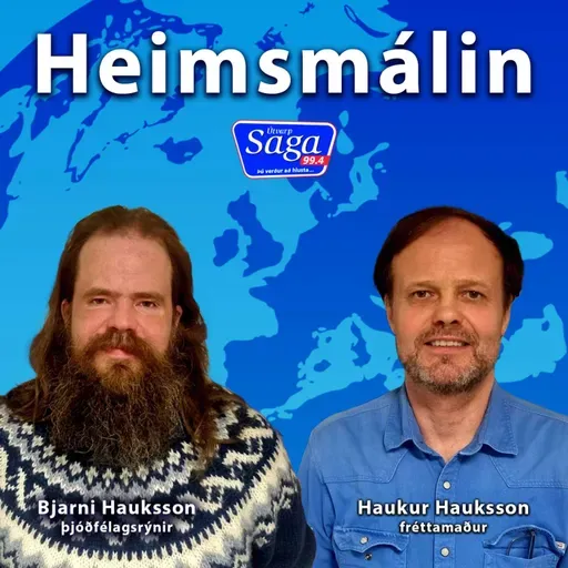 Haukur Hauksson & Bjarni Hauksson