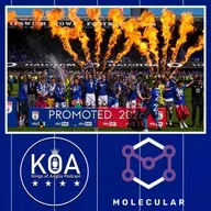 Kings of Anglia: Ipswich Town are Premier League again! McKenna and players react