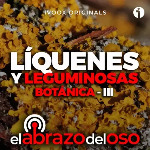 Líquenes y Leguminosas - Botánica III