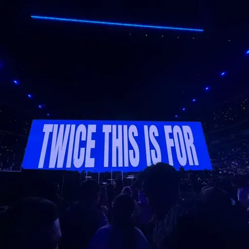 聊聊学语言带来的新体验｜How Japanese Upgraded My Concert Experience