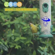 【三年回访】都柏林｜风险管理师的生活