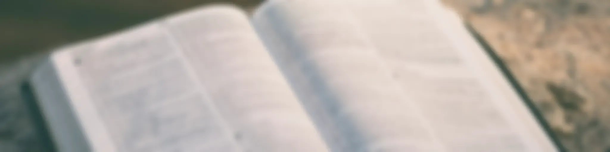 1 Timoteo 2 8 - 10  Pr. Gabriel Barahona