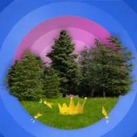 (7/12) Wald – Wer folgt dem Ruf von Mäusebussard, Kuckuck und Amsel in’s Ziel?