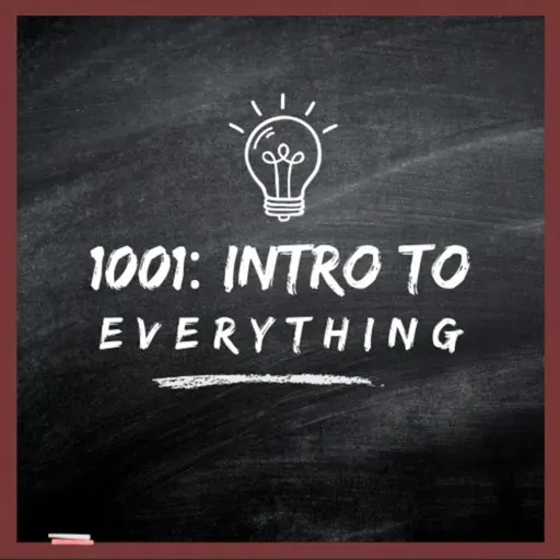 History of Capitalism and Energy in the US | 1001: Intro to Everything podcast #18 with Sean Adams