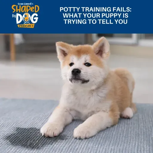 Potty Training Fails: What Your Puppy Is Trying To Tell You  #312