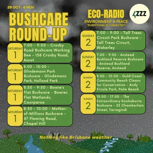 Dr Ascelin Gordon - AI