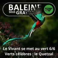 S07E78 Allez les Verts ! 6/6 : Le Quetzal (et autres verts célèbres...)